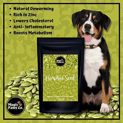 Pumpkin Seed