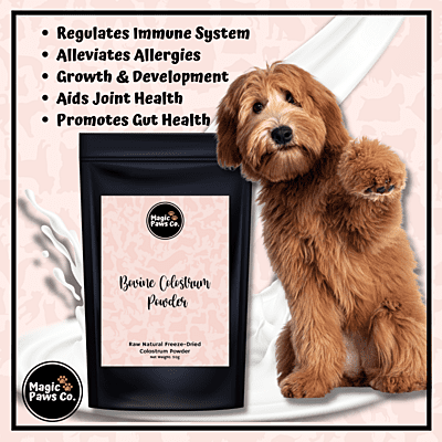 Bovine Colostrum Powder Bovine Colostrum Powder