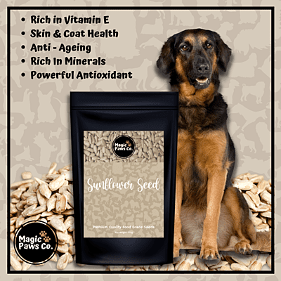 Sunflower Seeds
